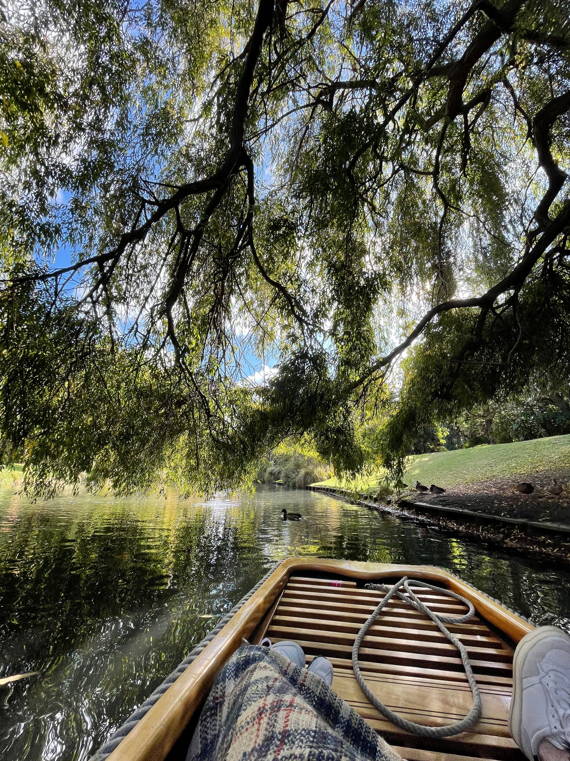 The best of Christchurch