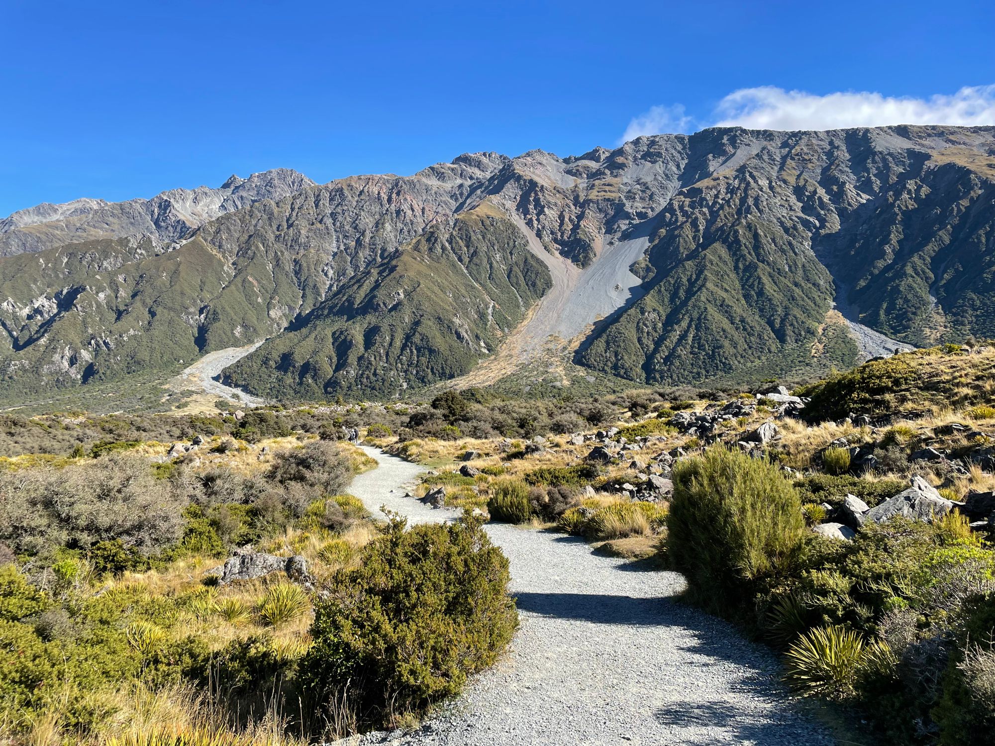 Lake Tekapo and Mount Cook