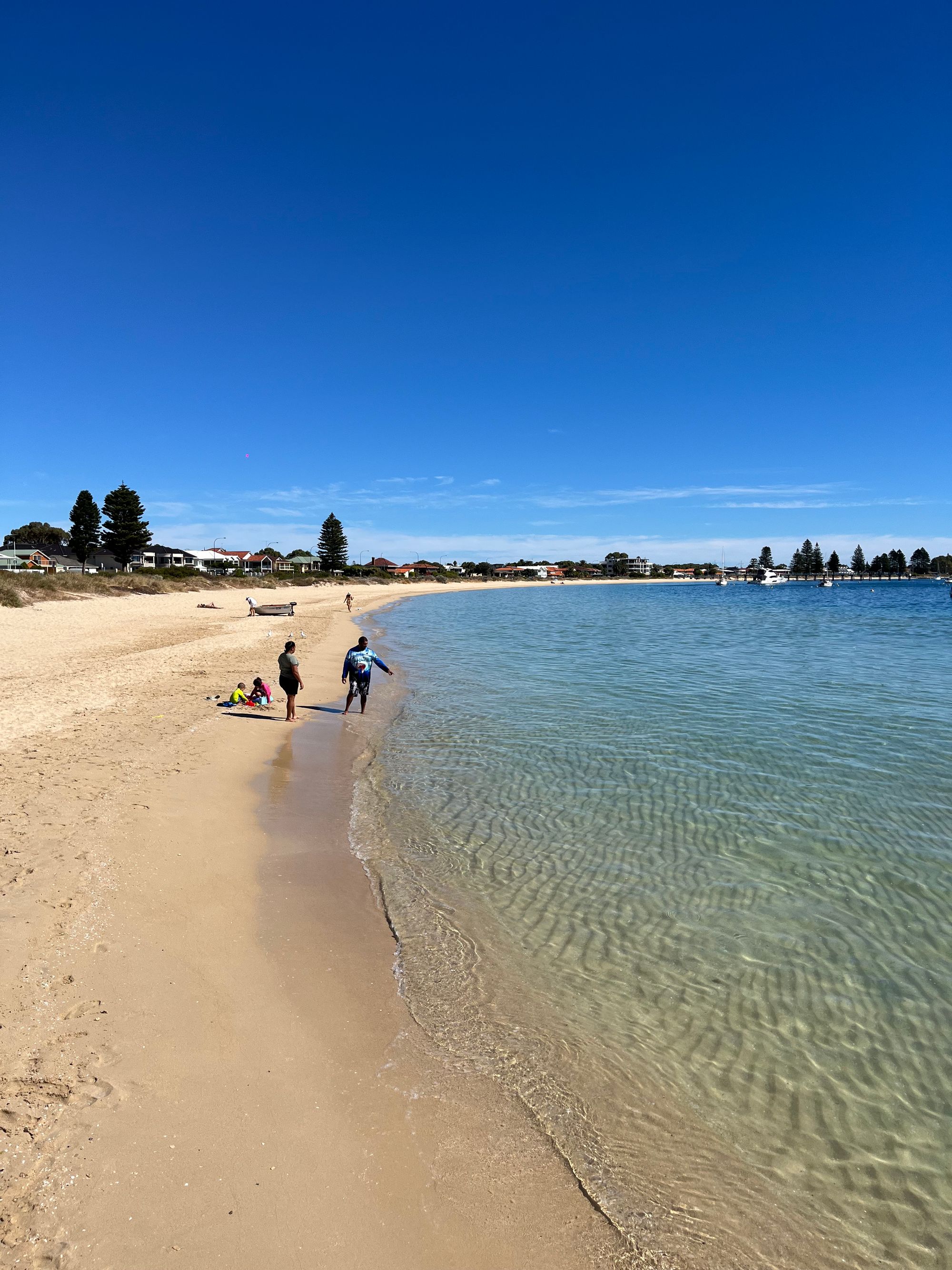 A swim with wild dolphins off Rockingham beach