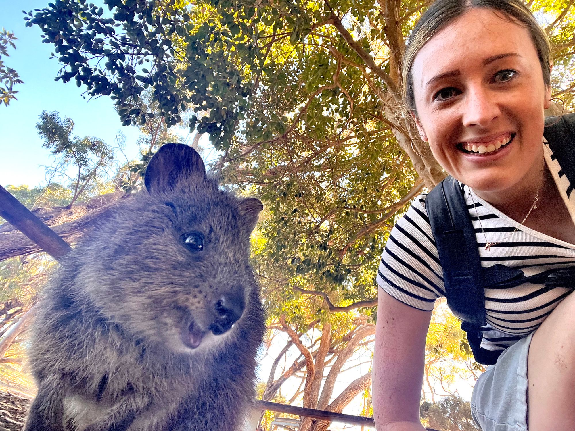 Rottnest Island