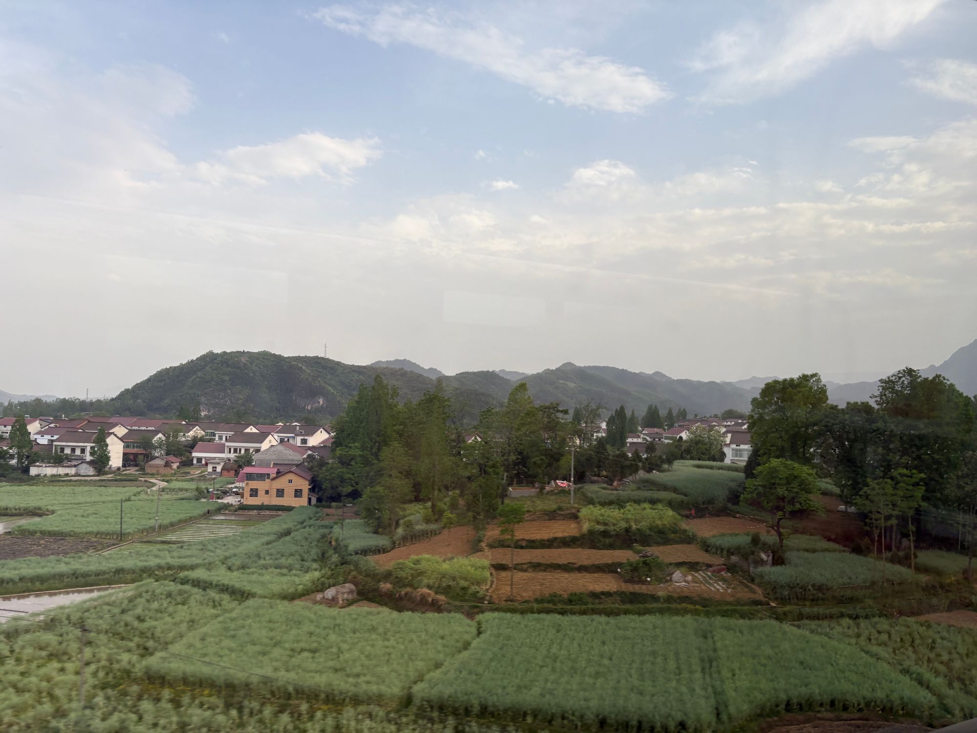 Friday – Terracotta Army