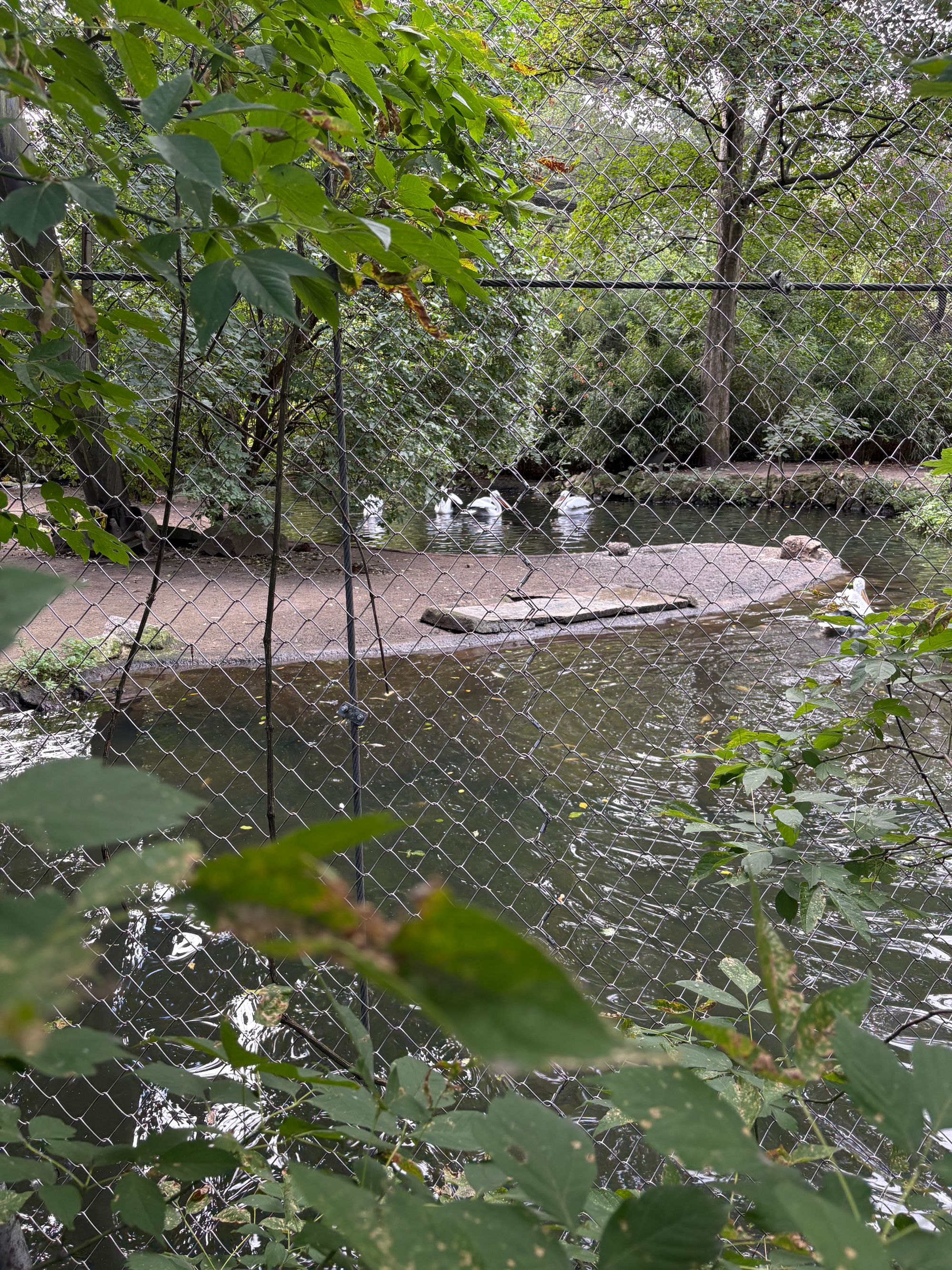 Zoological gardens walk before flying home